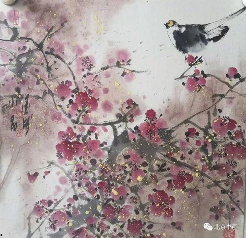 中国国产花鸟视频,中国花鸟视频里的自然之美  第1张