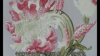 中国国产花鸟视频,中国花鸟视频里的自然之美  第2张