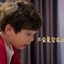 国产小正太视频,视频魅力无限  第2张