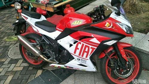 国产小忍者视频展示,身怀绝技，智勇双全的少年英雄传奇  第2张